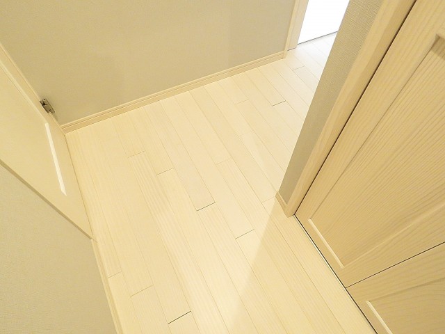 ライオンズマンション南平台　廊下