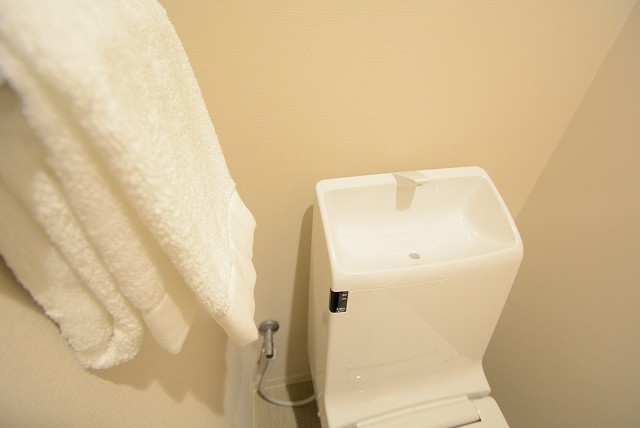 チサンマンション原宿 トイレ