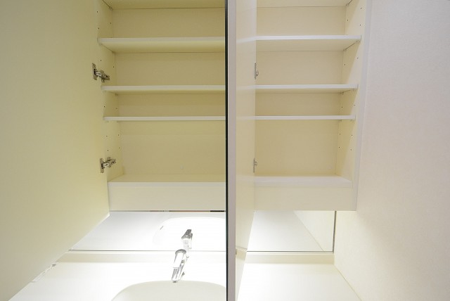 ニュートンプレイス　洗面室