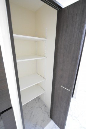 カルム桜新町パティオ 洗面室