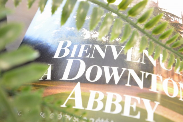 目黒コーポラス LDK+S