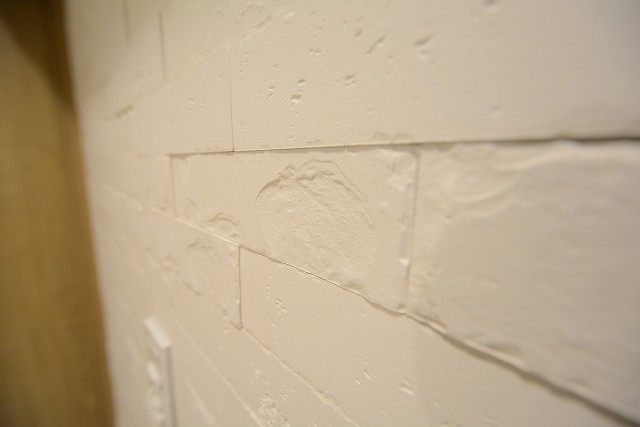 アルス弦巻 (19)玄関