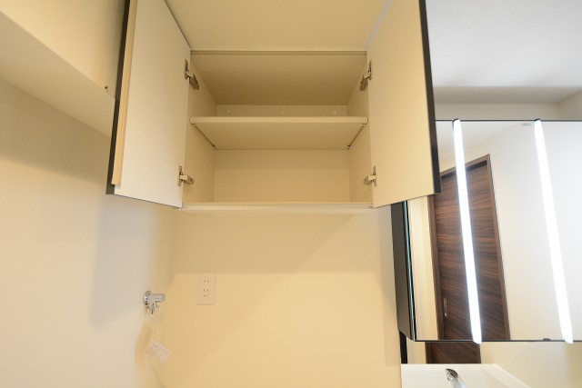 ライオンズマンション中目黒 洗面