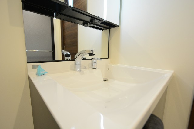 ライオンズマンション中目黒 洗面