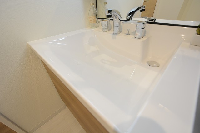 ダイアパレス世田谷公園 洗面