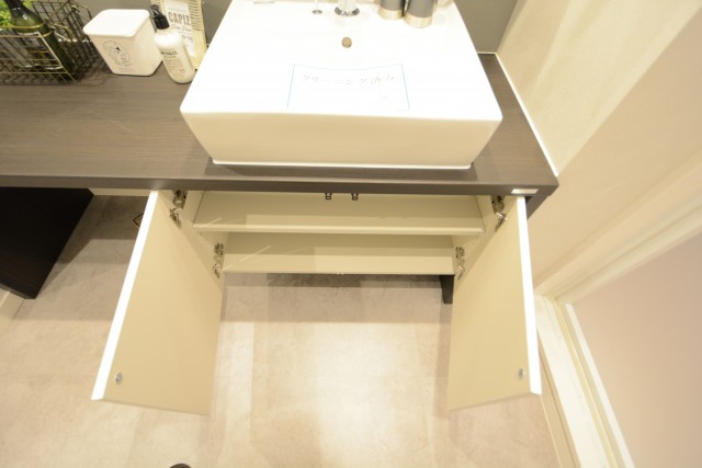 ニュー池尻マンション 洗面