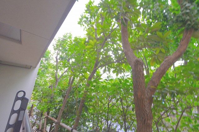 ヒルズ用賀 (108)バルコニー