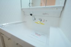 上野毛リッツハウス 洗面