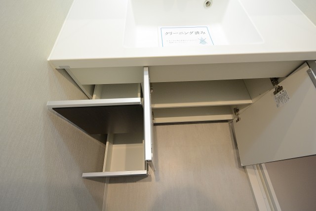 エクセル柿の木坂 洗面