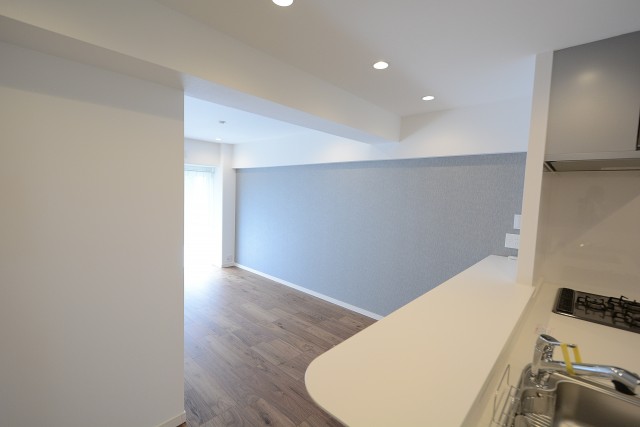 上野毛リッツハウス LD