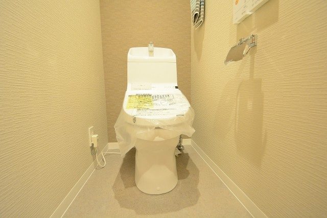 セザールリバーサイド上野毛 トイレ