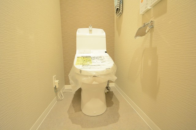 セザールリバーサイド上野毛 トイレ