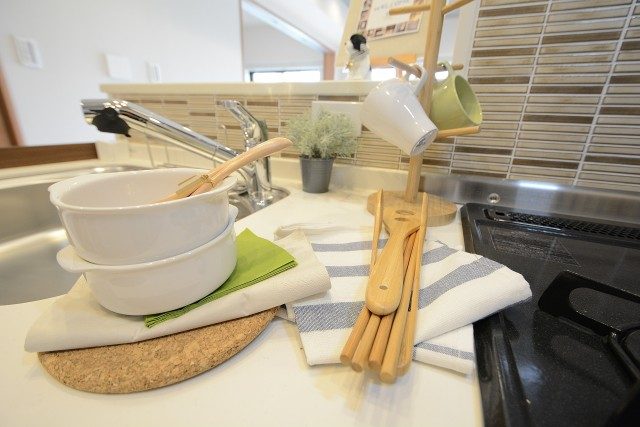 セザールリバーサイド上野毛 キッチン