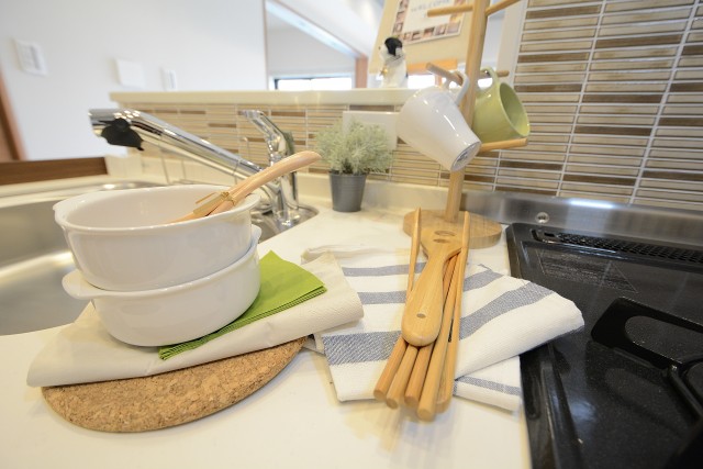 セザールリバーサイド上野毛 キッチン