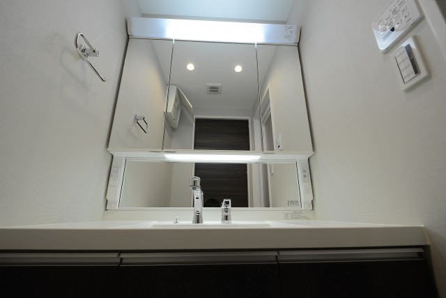 エクセル柿の木坂 洗面