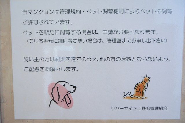 セザールリバーサイド上野毛 エントランス