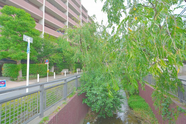 ヒルズ用賀 谷沢川