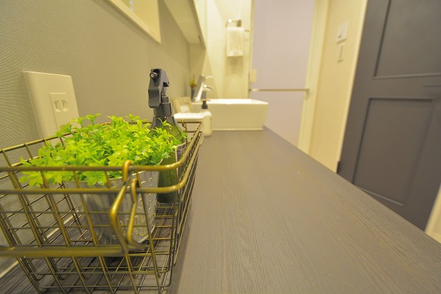 ニュー池尻マンション 洗面