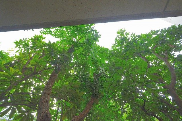 ヒルズ用賀 バルコニー