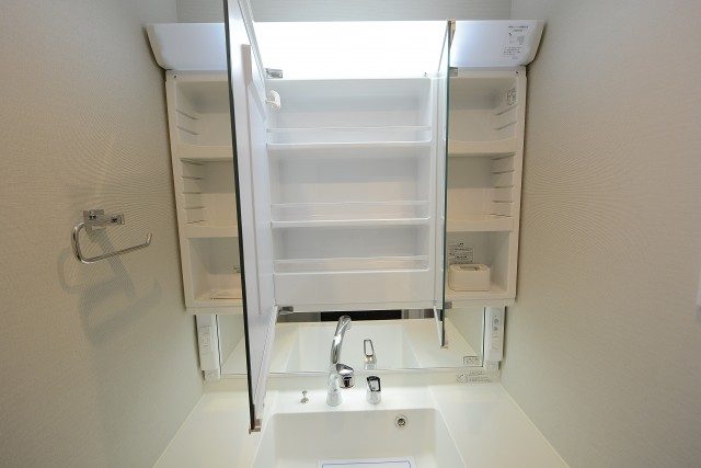 エクセル柿の木坂 洗面