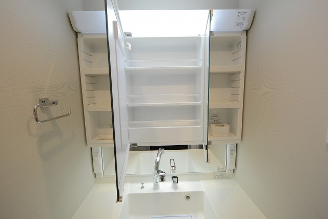 エクセル柿の木坂 洗面