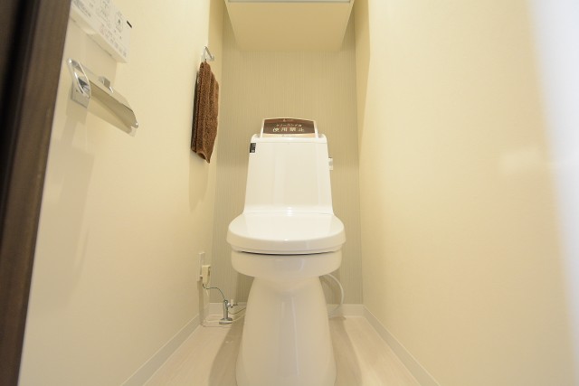 ライオンズマンション中目黒 トイレ