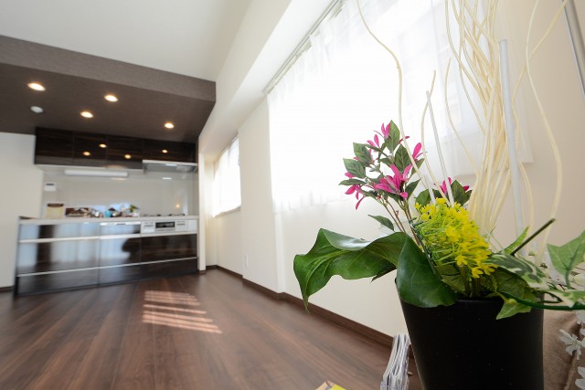 ライオンズマンション中目黒 LD