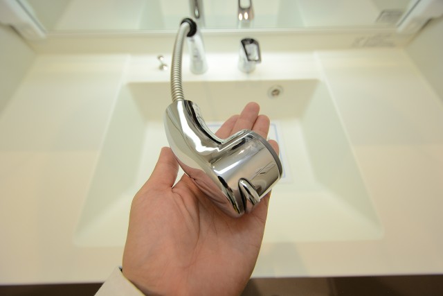 エクセル柿の木坂 洗面