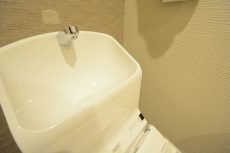 セザールリバーサイド上野毛 トイレ