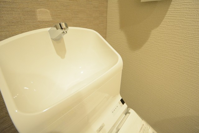 セザールリバーサイド上野毛 トイレ