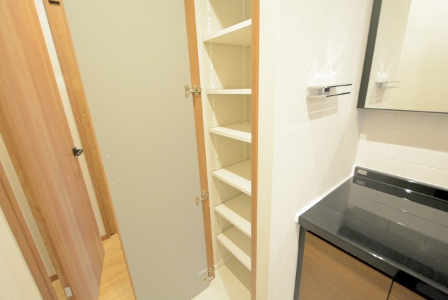 上馬ハイホーム 洗面