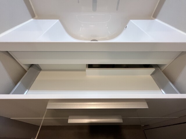 東急ドエルアルス弦巻 洗面室