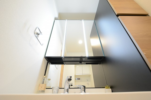 ダイアパレス世田谷公園 洗面