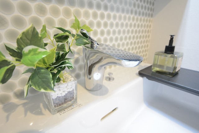 ライオンズマンション渋谷第２ 洗面