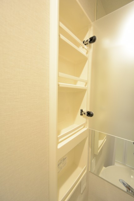 二子玉川宝ロイヤルハイツ 洗面