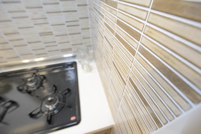 セザールリバーサイド上野毛 キッチン