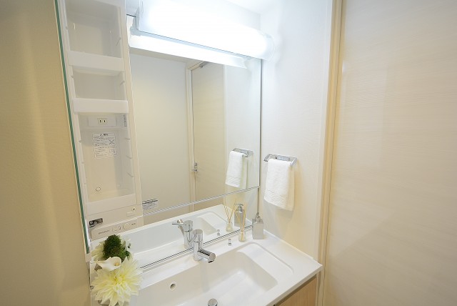 秀和椎名町レジデンス 洗面