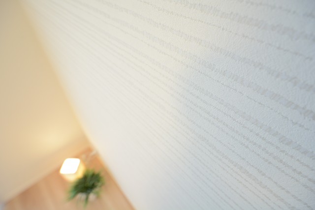 ダイアパレス世田谷公園 洋室5.2