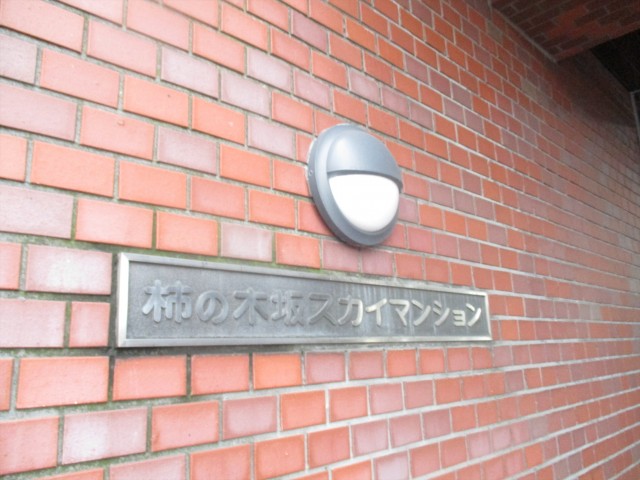 柿の木スカイマンション (43)