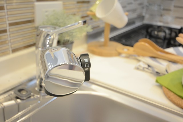 セザールリバーサイド上野毛 キッチン