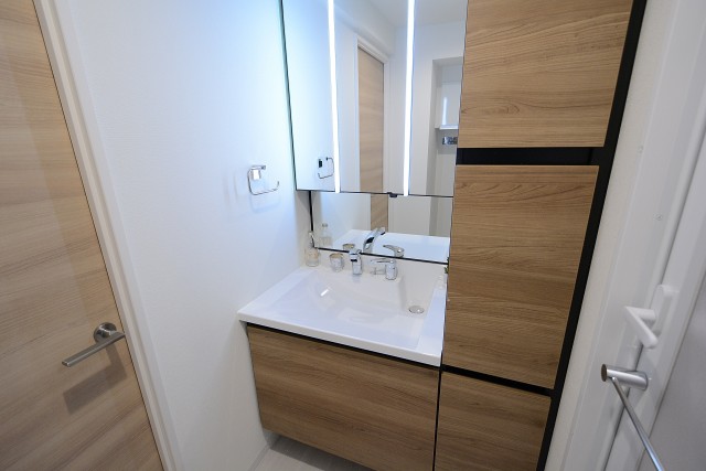 ダイアパレス世田谷公園 洗面