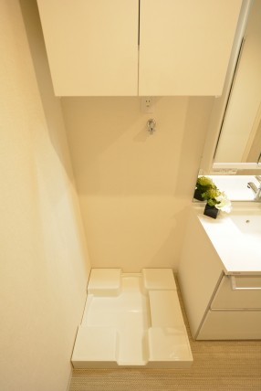 目黒青葉台グランドハイツ 洗面室