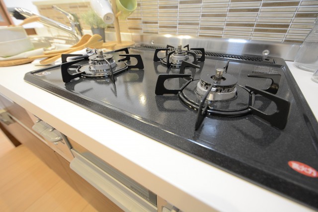 セザールリバーサイド上野毛 キッチン