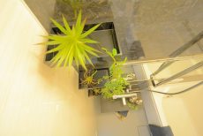 セブンスターマンション第二青葉台 バス