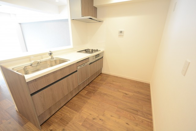 上野毛リッツハウス キッチン