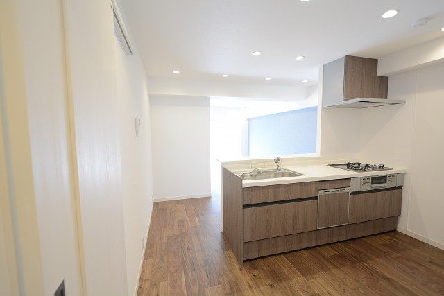 上野毛リッツハウス LD