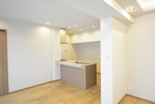 上馬ハイホーム (37)キッチン
