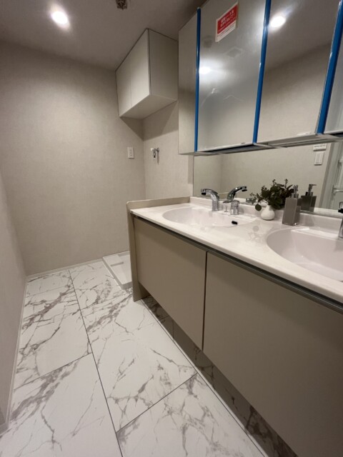 東急ドエルアルス弦巻(39)洗面台