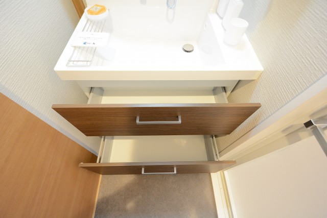 セザールリバーサイド上野毛 洗面