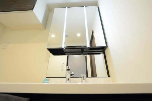 ライオンズマンション中目黒 洗面